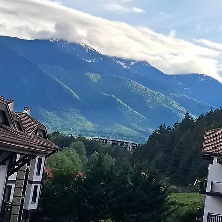 Sunny Mountain View Lejlighed